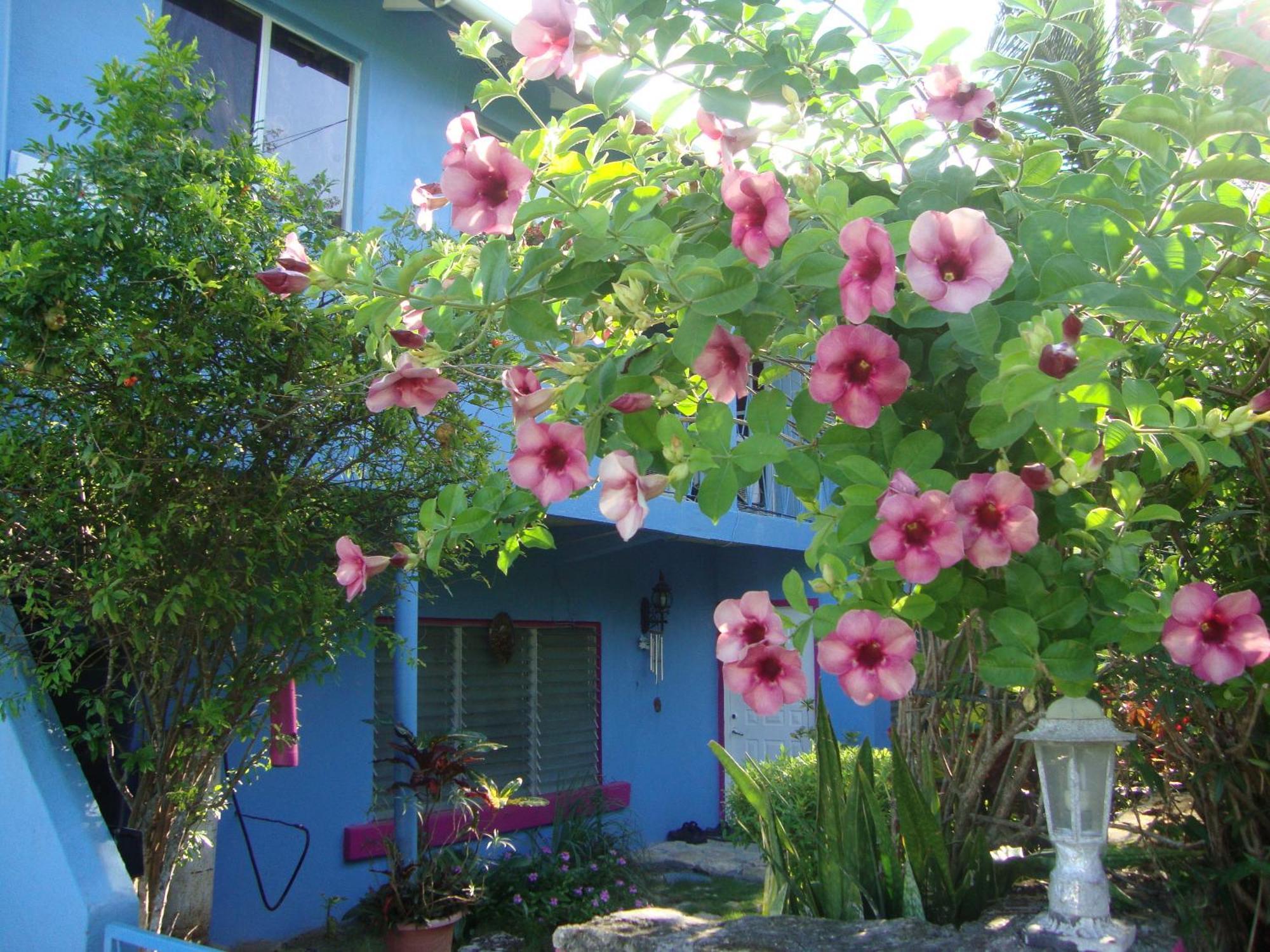 Ellen Bay Cottages Saint Philips Exterior photo