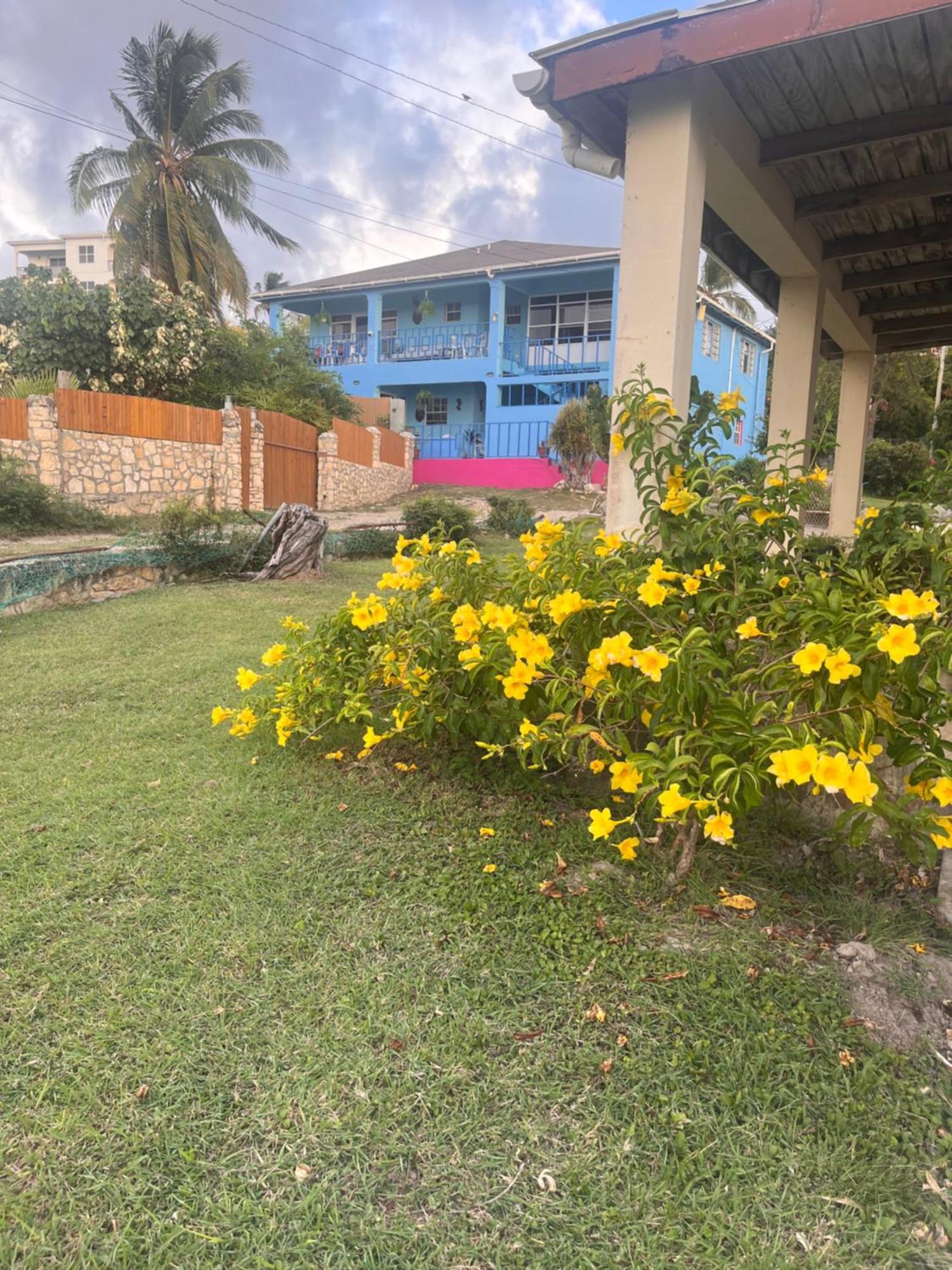 Ellen Bay Cottages Saint Philips Exterior photo