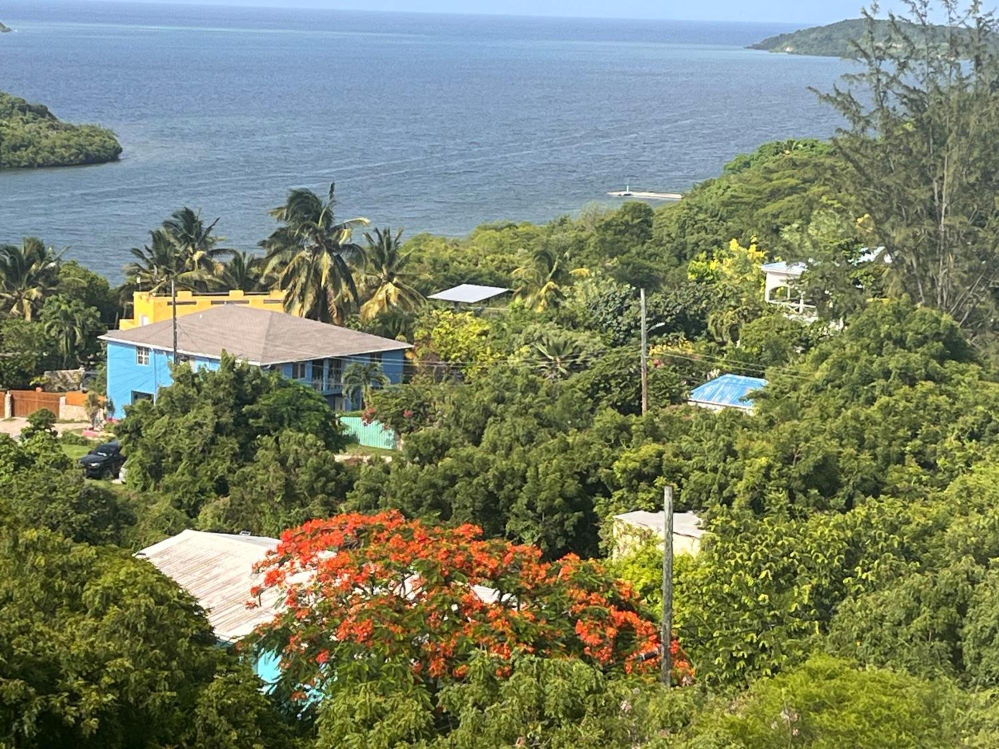 Ellen Bay Cottages Saint Philips Exterior photo