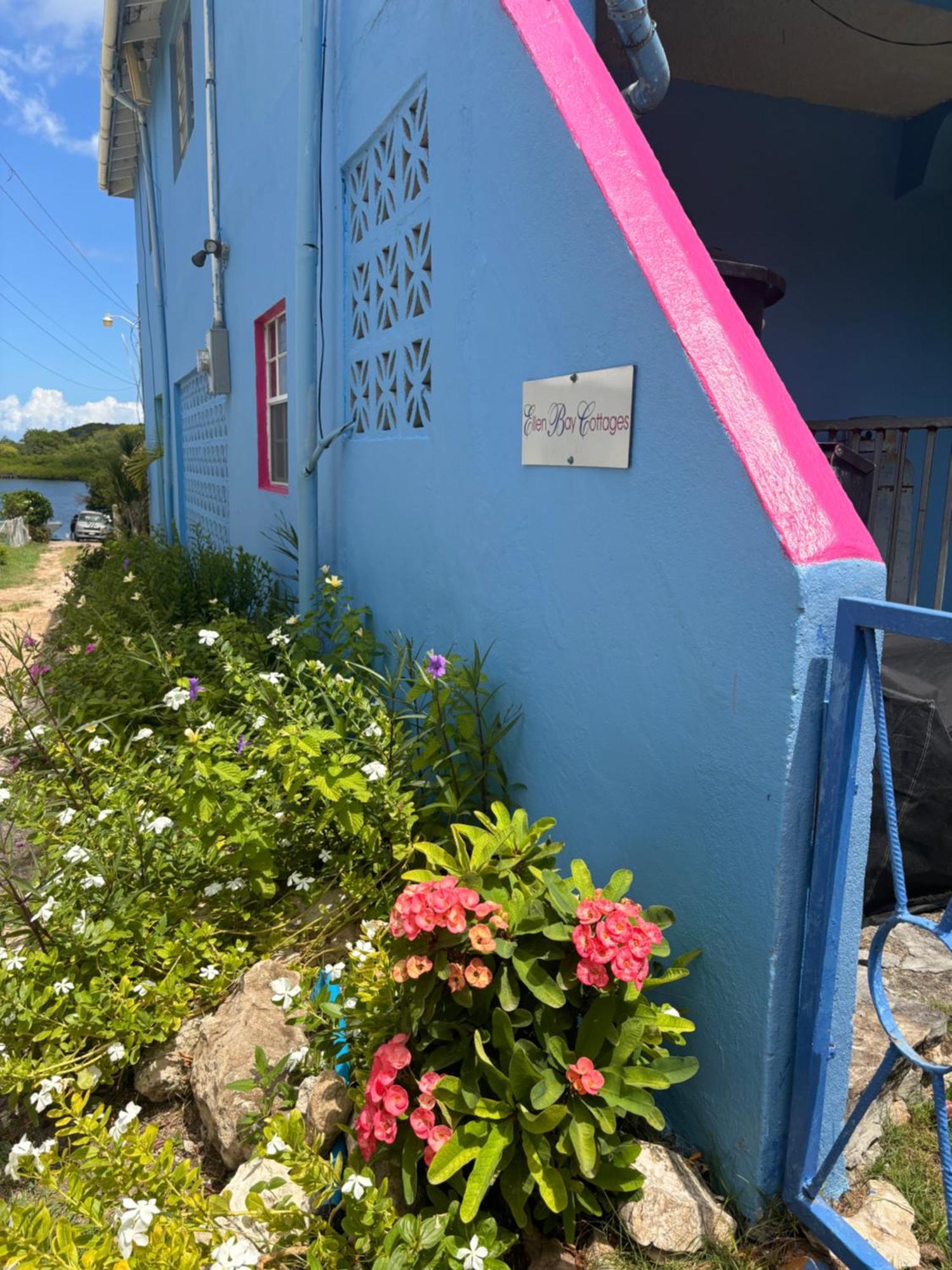 Ellen Bay Cottages Saint Philips Exterior photo